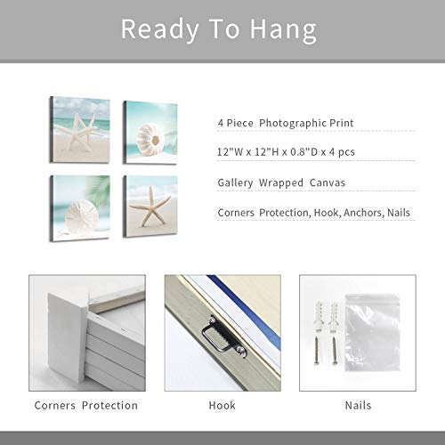 ARTISTIC PATH Seashell Picture Canvas Wall Art: Beach Themed Artwork Painting Print for Wall Decor for Dining Room (12" W x 12" H x 4 PCS, Multi-Size) - Image 7
