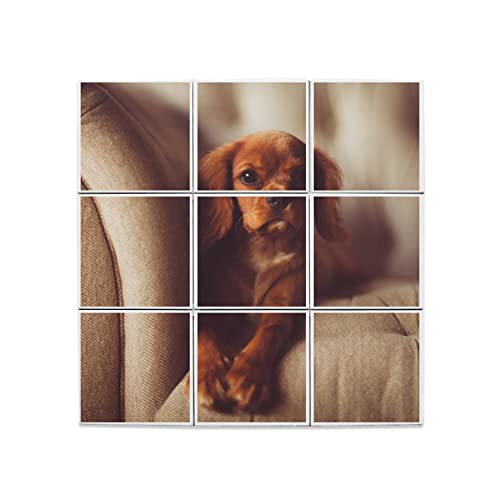 Carreaux céramique Cavalier King Charles décoratif 60x60cm