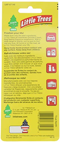 Image of Little Trees Car Air Freshener 6-Pack (True North)