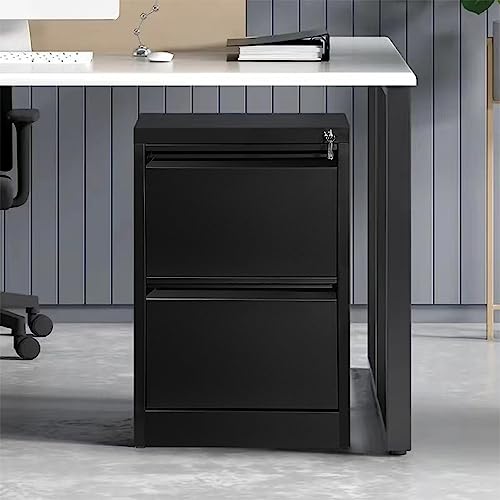 Panana Modern 2-Drawer Locking Heavy Duty Under Desk File Cabinet Metal Storage Cabinet Chest of Drawers Side Table,White,W45.8xD62xH72.1cm, Black