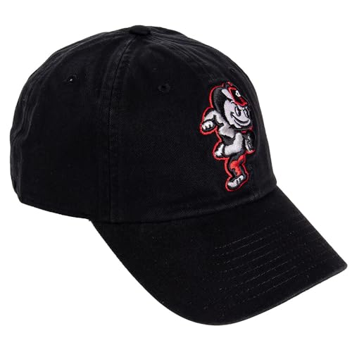 Desert Cactus The Ohio State University Baseball Hat OSU Buckeyes Brimmed Embroidered Hats Cap Adjustable Cloth Strap Adult (Style G1) Black