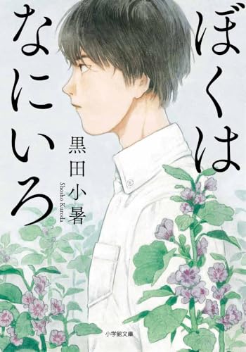 ぼくはなにいろ (小学館文庫 く 19-1)