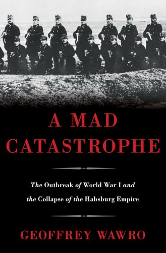 A Mad Catastrophe view 2