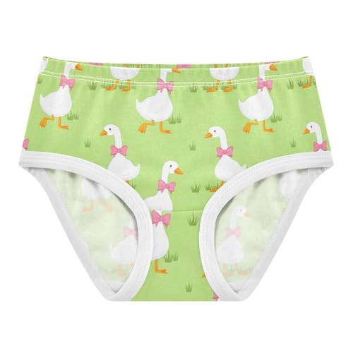 Cute Geese Pink Bow Toddler Girls's Underwear 2T 202c1801