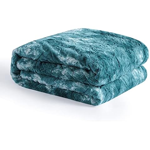 Aisbo Manta Sofa Invierno Polar - Mantas para Cama 90 Manta de Sofá Suave Gruesa Caliente Pelo y Sherpa Verde Azulado 150x200 Cover