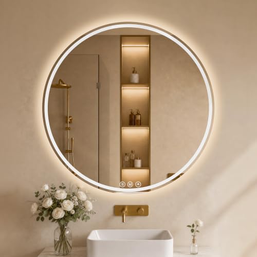 WISSMIELS LED Bathroom Mirror 30 Inch Round Bathroom Mirror with Lights Circle LED Mirror Wall Mounted Lighted Bathroom with 3 Colors Brightness Anti-Fog Dimmable Shatter-Proof