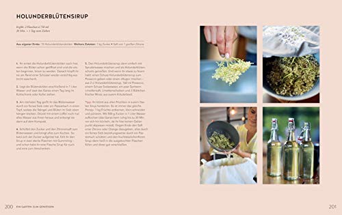 Homefarming: Selbstversorgung ohne grünen Daumen (GU Garten Extra) - 3