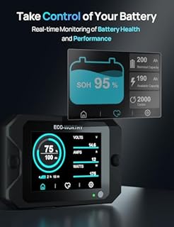 ECO-WORTHY Monitor della batteria aggiornato, 300 A, 12 V/24 V/36 V/48 V, 3,5, display touchable con allarme, 9 – 80 V, batteria agli ioni di litio LiFePO4/gel per camper, impianti solari