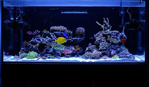Kzkr Aquarium Hood Lighting Fish Tank Light 48 - 60 Inch Lamp For Freshwater Saltwater Marine Blue And White Decorations Light 120 - 150 Cm #TOP6