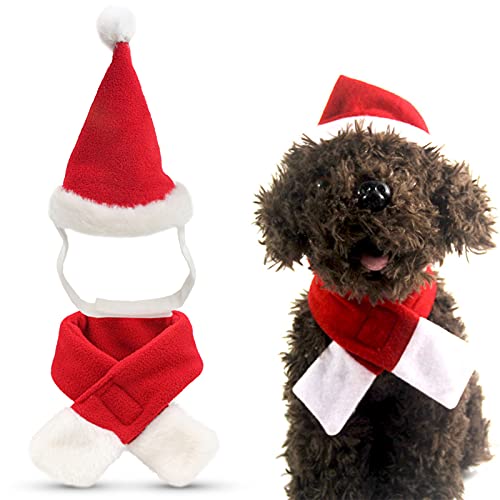 Gatti Cappello da Babbo Natale Cappello da