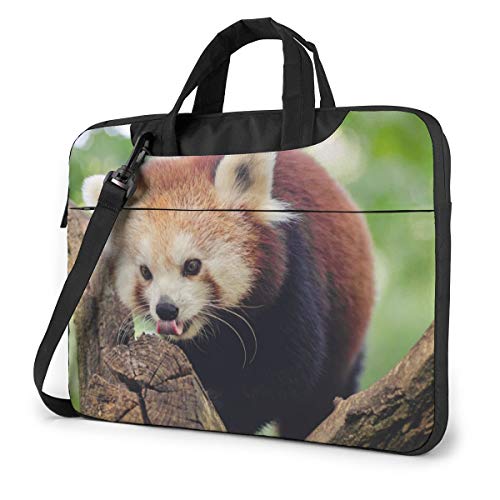 ؂̒  bT[p_ PCP[X m[gp\RobO bvgbv یP[X PCobO Ռz y rWlXobO nhobO u[tP[X 񂰃obO t ΂ߊ|obO 13/14/15.6C`