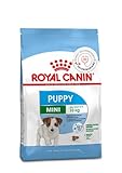 Royal Canin Mini Puppy Food, 800 Grams, Dry Food, Supports Complex Natural Defence & digestive health, Supports Immune System