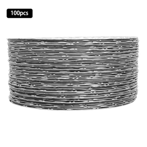 100 platos cargadores redondos plateados reutilizables miniatura 3