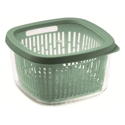 Snips Aroma Keeper Green Food Storage Container Cover