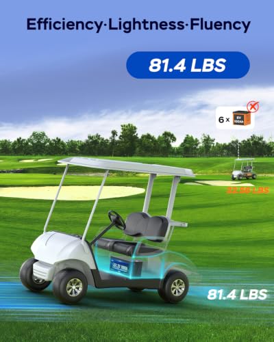 MEYULMOL 48V 100Ah Lightweight Battery