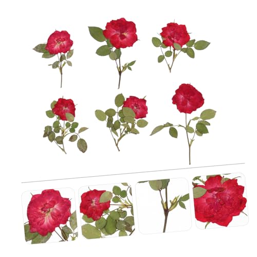 Flores secas rosas para decoración y manualidades miniatura 7