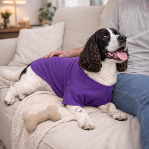 Lovelonglong Pet Clothing Dog Costumes Basic Blank T-Shirt Tee Shirts for Large Dogs Purple XXXXL — view 7