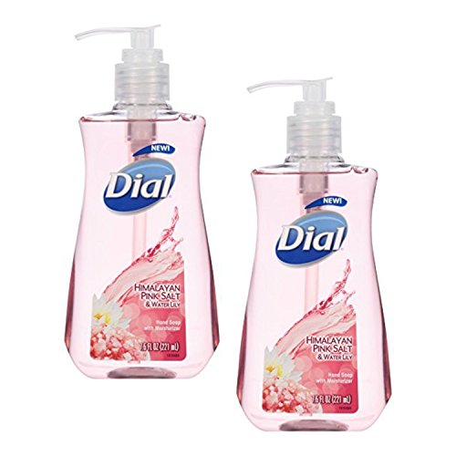 Top 10 Best Dial Himalayan Salt Hand Soap Antibacterial With Buying