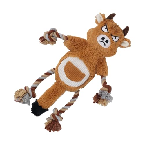 Zynphancer p[v ރC^NeBu jV Ȑ VѐSh ^^^Ή ybg