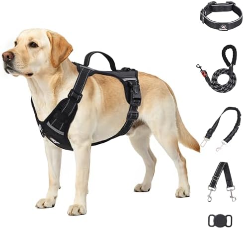IEUUMLER No Pull Anti-Zieh Hundegeschirr Verstellbares Geschirr mit Leine, Sicherheitsgurt & Backup-Band, verstellbar, AirTag-fähig, für kleine bis große Hunde EU021 (Schwarz, L)