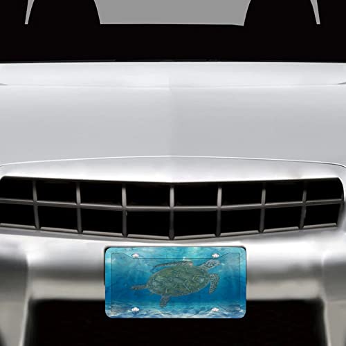 Nautical Beach Ocean Underwater Seaturtle License Plate Cover And Frame Combo Turtle Sea Life Seaturtle Seahorse Customized Trailer Bus Front And Rear Car Tags Vanity Tag Metal Car Plate Novelty 6X12 #TOP3