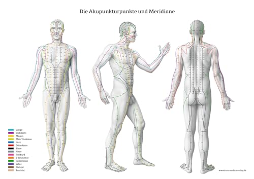 Lernposter – Die Akupunkturpunkte und Meridiane: Von vorne, von hinten und von der Seite