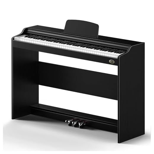 Rosen P35 88-Key Weighted Action Digital Piano with Furniture Stand, Beginner Digital Piano Full Size Weighted Keyboard, 3-Pedal Unit,Black