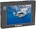 Produktbild fotopuzzle.de Puzzle 1000 Teile Großer Weißer Hai, der direkt unter der Oberfläche auf der Insel Guadalupe Mexiko schwimmt (1000, 200 oder 2000 Teile)