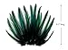 10 Pieces - Peacock Green Laced Long Rooster Cape Feathers Fly Tying Whiting BLW Rooster Saddle | Moonlight Feather