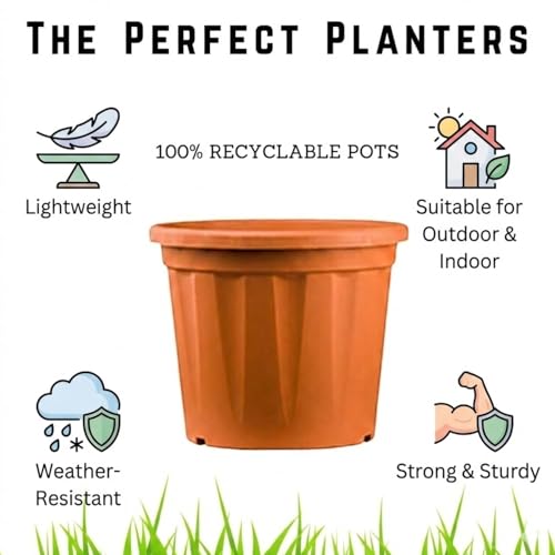 Image of 8 Inch Heavy Duty Plastic Planter | Grower Pot /Garden Pot for Home & Garden (Terracotta) (Pack of 12)