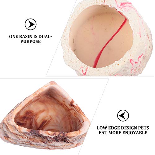 POPETPOP 2Pcs Alimentadores Terraium Réptil Bacias de Alimentação Réptil Placas de Resina de Aliment