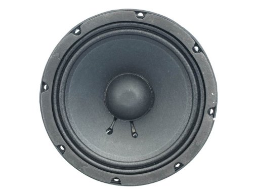 100 Watt Bass Speaker Driver 8"