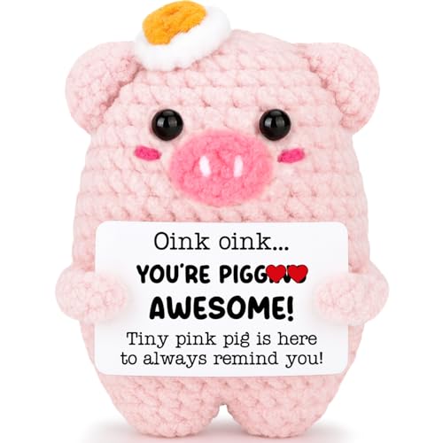 Agantree art Girls Birthday Graduation Gifts for Girls her Women Her Pink Pig Sister Friend Coworker Daughter Mom Self Care Inspirational Support Desk Home Decor