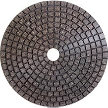 2000 Grit Alpha 4in Ceramica EX Wet Resin Polishing Pad