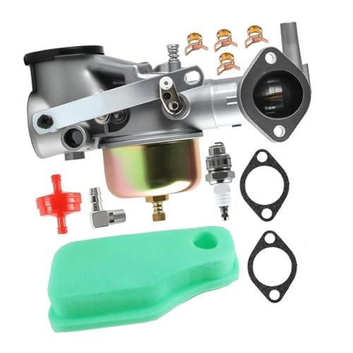 Carburateur pour BS491590 390811 avec filtre à huile et bougie