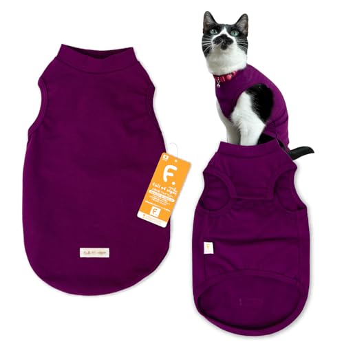 L Vv xAV Ci[ ^Ngbv 畆ی L̕ tIurK[ 16/p[v CL