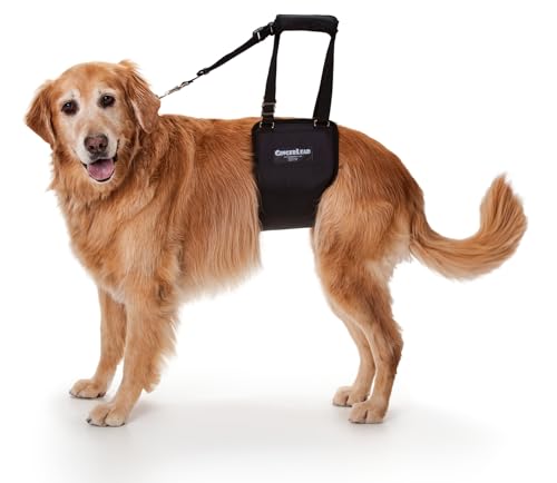 GINGERLEAD Dog Sling Support Harness, LG Female fits Big Dogs Over 65 lbs. Padded Rear Lift with Integrated Leash to Assist Senior K9s, or Recovery from Knee/TPLO, Hip or Back Surgery. Made in U.S.A.