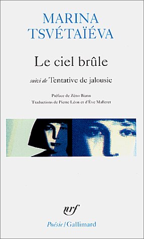 Télécharger Le ciel brûle/tentative de jalousie Livre PDF Gratuit