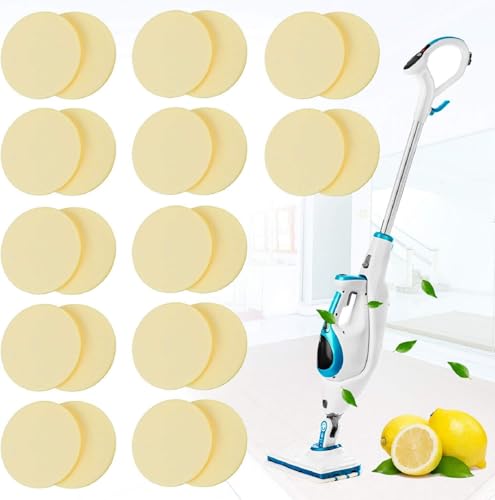 Blulu Fragrance Discs