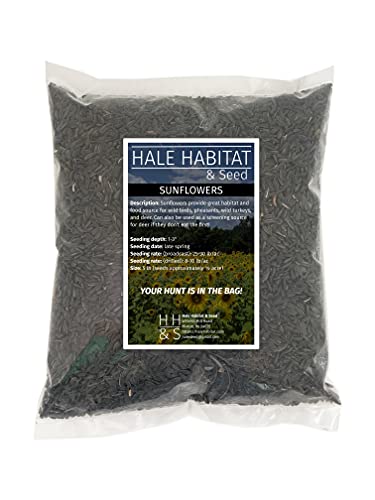 Hale Habitat & Seed Peredovik Sunflower Food Plot Seed for Wild Birds Pheasants Wild Turkeys and Deer (5 lbs)