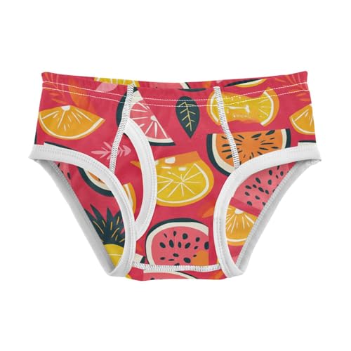 Wusikd Summer Watermelon Boys' Underwear Cotton Lemon Boys Briefs Soft Toddler Underwear 2T