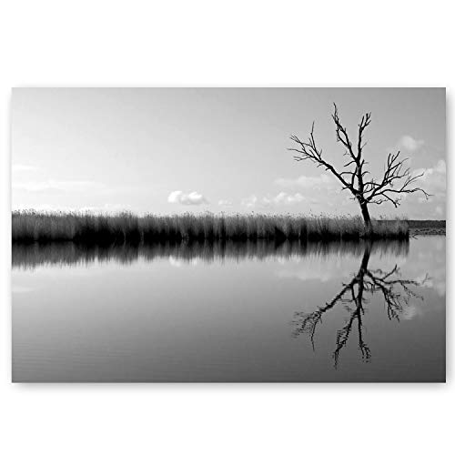 Black & White Postcard Set Of 20 Postcards. B&W Post Card Variety Pack. Made In Usa. #TOP4
