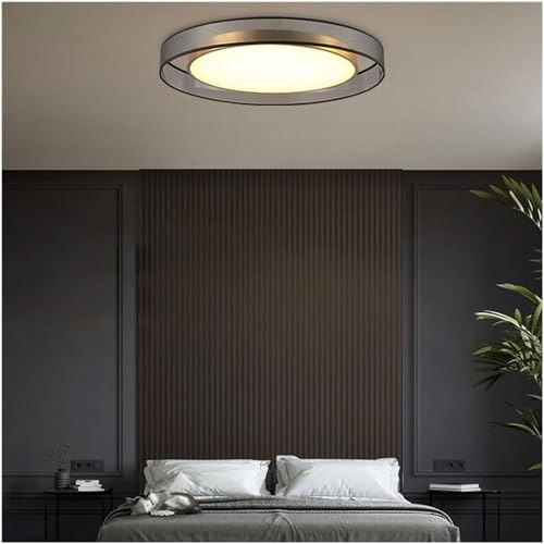 Plafonniers simples modernes à intensité variable pour un éclairage sur mesure - 2