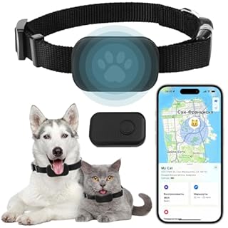 Collare GPS per Gatto, Localizzatore Senza Abbonamento, Tracciamento in Tempo Reale, Compatibile con iOS/Android, Impermeabile, Batteria a Lunga Durata (B)