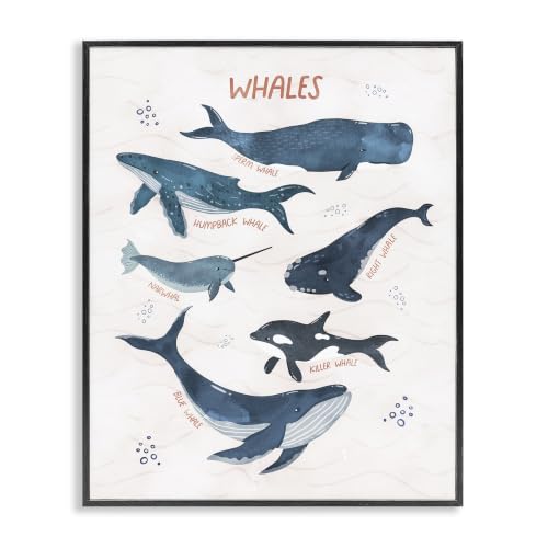 Nautical Whale Narwhal Diagram, 16 x 20 Inch Framed Giclée Print