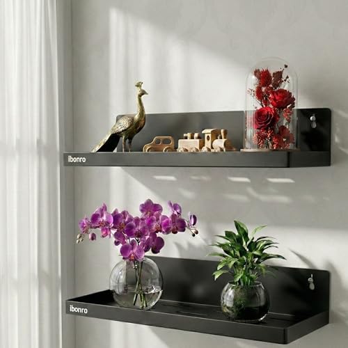 Image of Iron Wall Shelf | Laser Cut Metal Wall Mounted Floating Shelf for Living Room, Bedroom & Office | Wall Shelves for Storage & Decor (Pack of 2) - Made in India