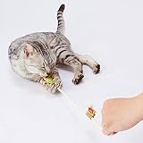 ペティオ (Petio) 猫用おもちゃ へちまレザー デンタルTOY ひもじゃらし グリーン