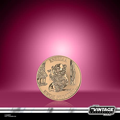 Hasbro Star Wars The Vintage Collection, Pack de 2 Figurines de Collection Wicket W. Warrick et Kneesaa de 9,5 cm, Star Wars : Ewoks