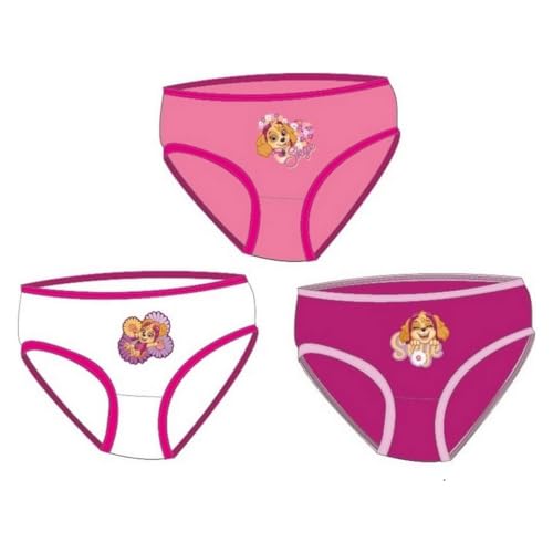 arlis Culottes Pat Patrouille - Coffret De 3 Culottes Fille Pat Patrouille (FR/ES, Âge, 5 Ans, 6 Ans, Taille Normale, Boite De 3 Culottes Pat Patrouille Fille)