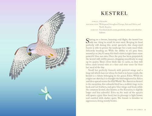 Image of The Folklore of Birds: The forgotten tales behind nature's most enigmatic creatures